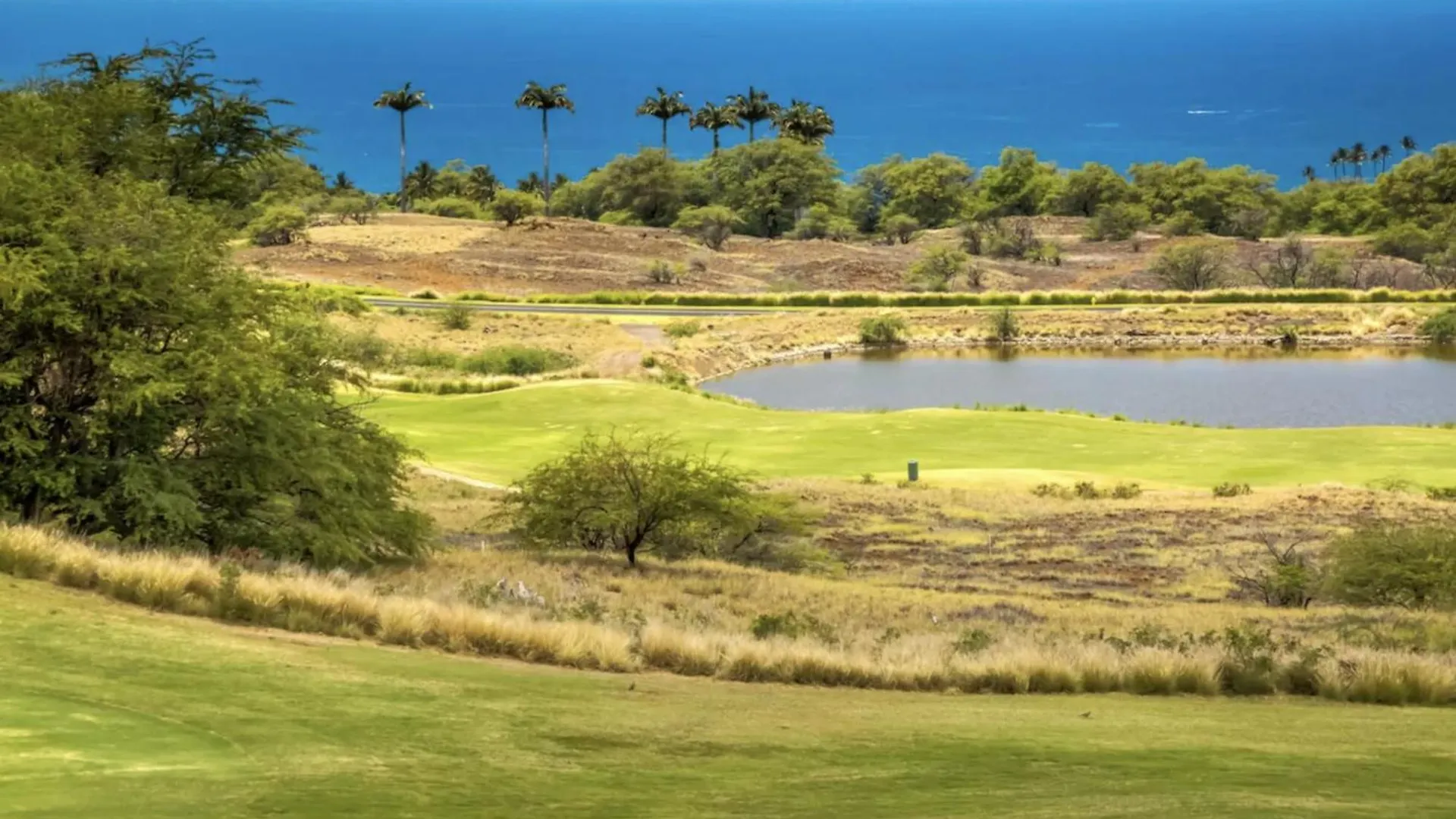 ווימאה Mauna Kea Palms Ocean Views Stunning Mauna Kea Resort Best Beaches 0*,  ארצות הברית