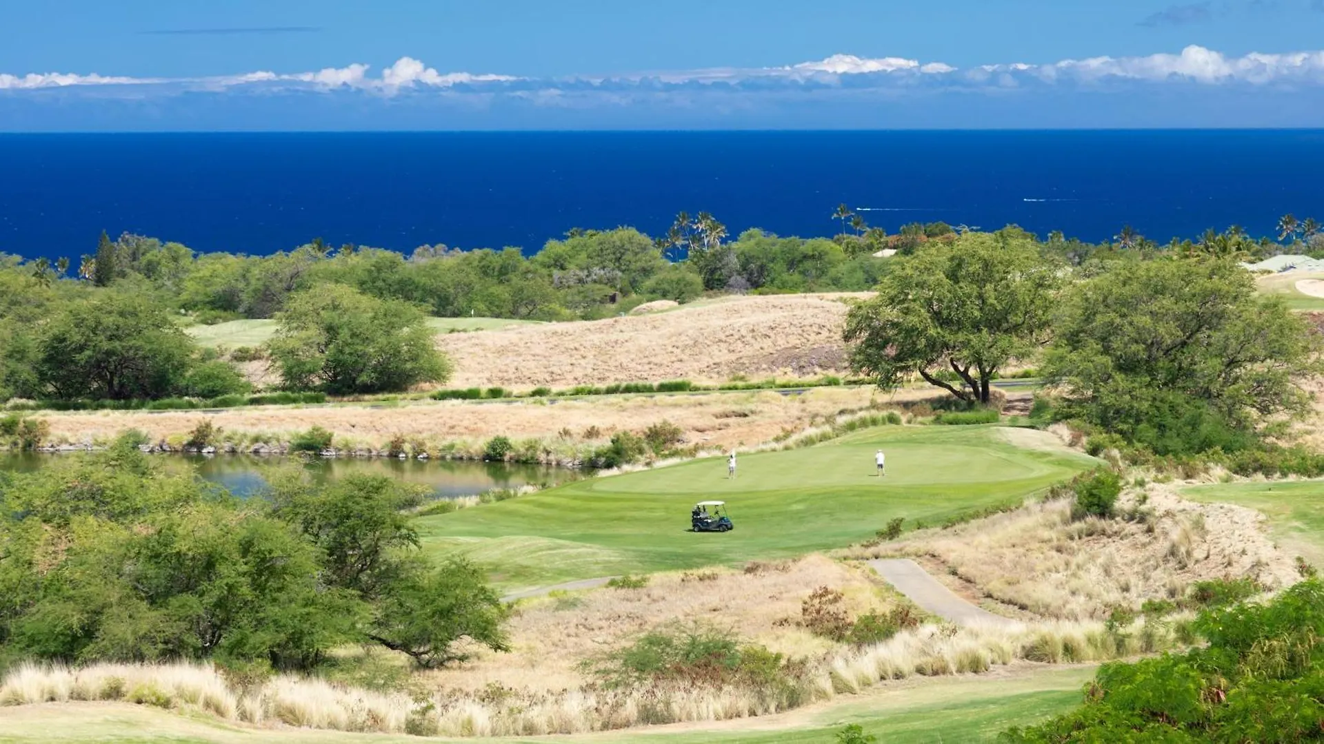 בית נופש ווימאה Mauna Kea Palms Ocean Views Stunning Mauna Kea Resort Best Beaches