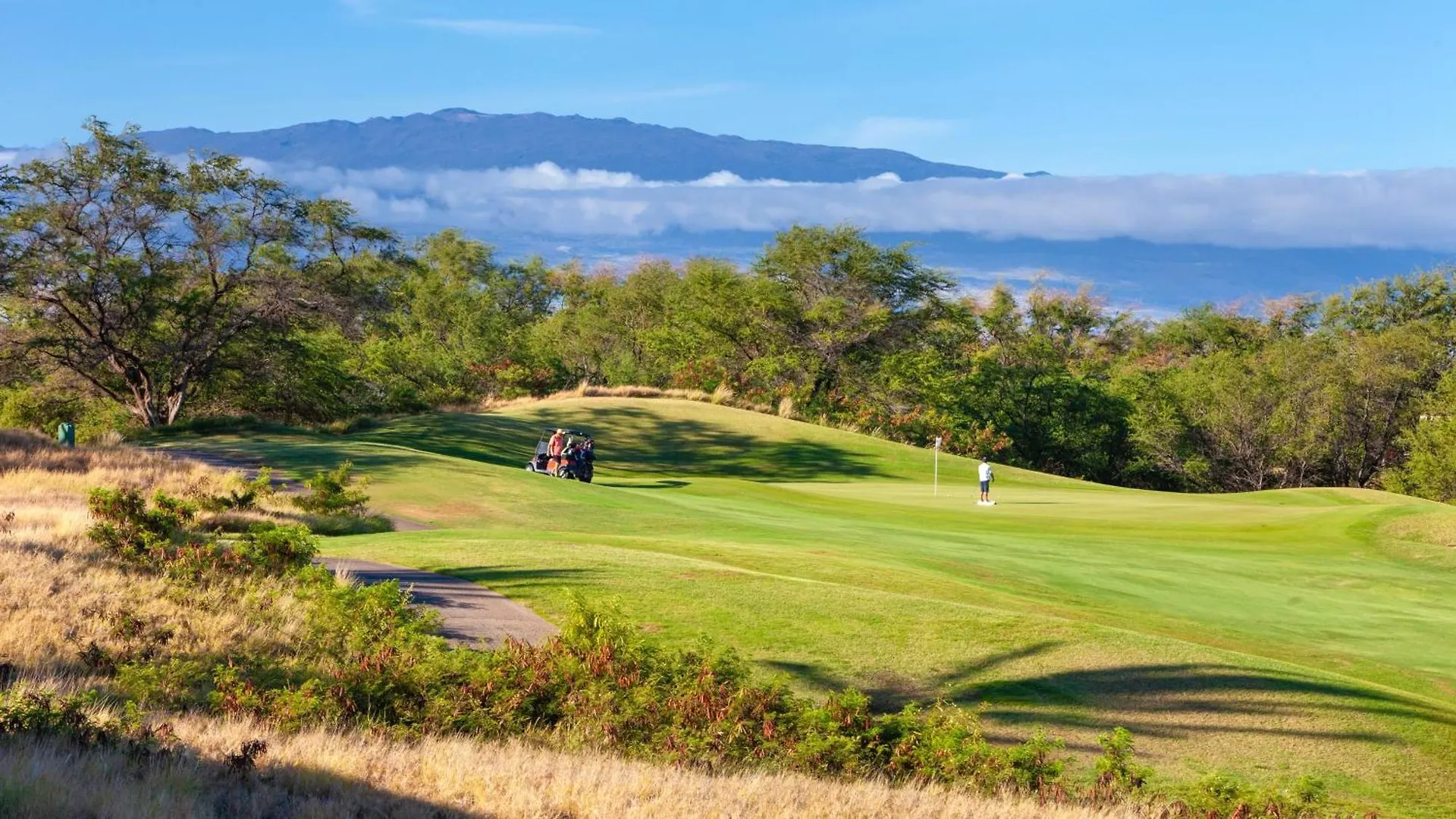 Mauna Kea Palms Ocean Views Stunning Mauna Kea Resort Best Beaches Waimea