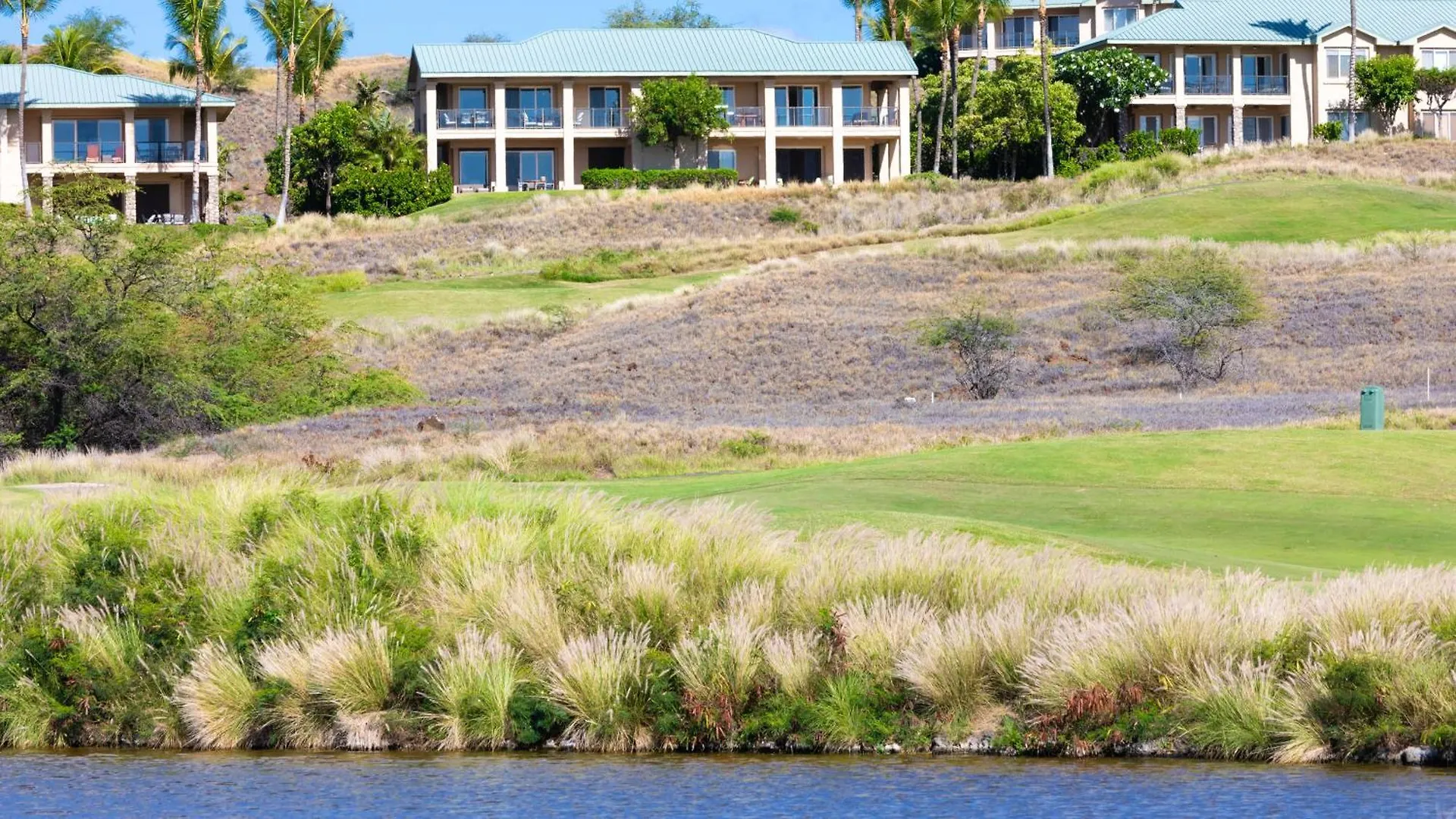 Сasa de vacaciones Mauna Kea Palms Ocean Views Stunning Mauna Kea Resort Best Beaches Waimea